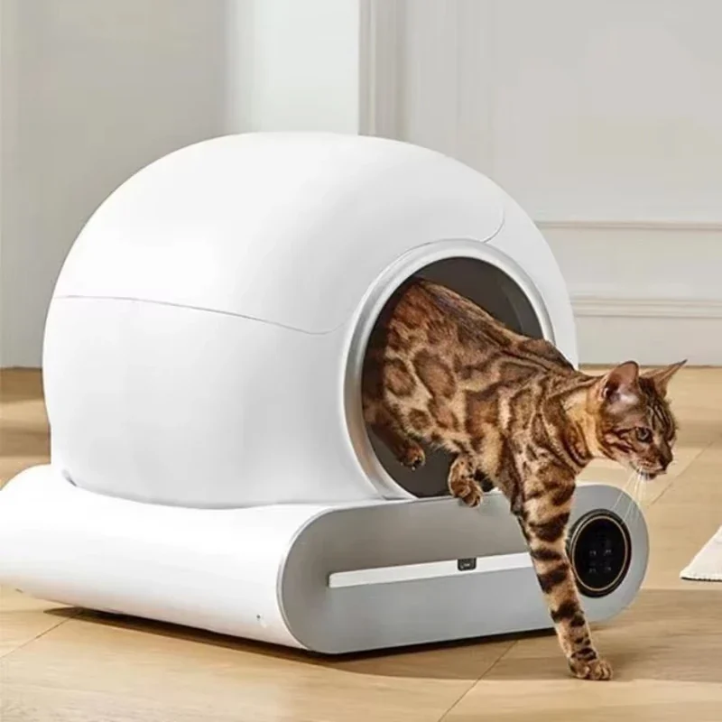 Un gatto bengala esce dalla lettiera autopulente Fusaria appoggiata su un parquet chiaro