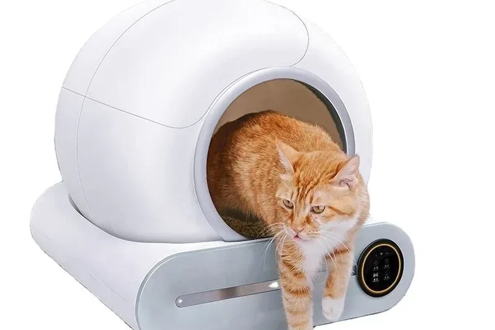 Un gatto rosso scende dalla base della lettiera autopulente, appoggiata su un parquet chiaro