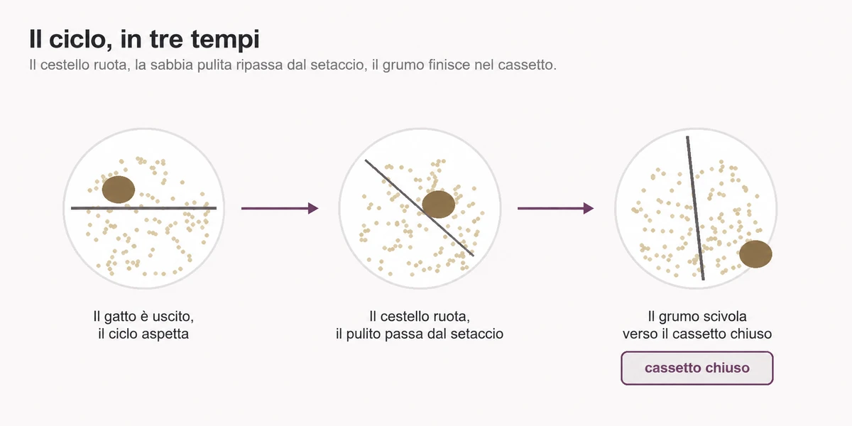 Schema in tre tempi: il cestello fermo dopo l’uscita del gatto, poi in rotazione con la sabbia pulita che attraversa il setaccio, e infine il grumo che scivola verso il cassetto chiuso