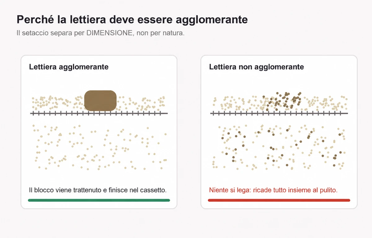 Schema che confronta due setacci: a sinistra un blocco compatto trattenuto sopra la griglia, a destra granelli non legati che la attraversano tutti
